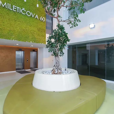 Mileticova- Stylish Close To The Center