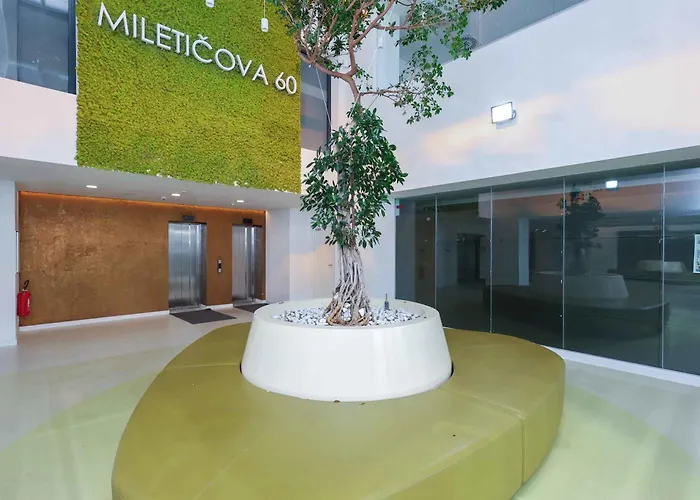 Mileticova- Stylish Close To The Center